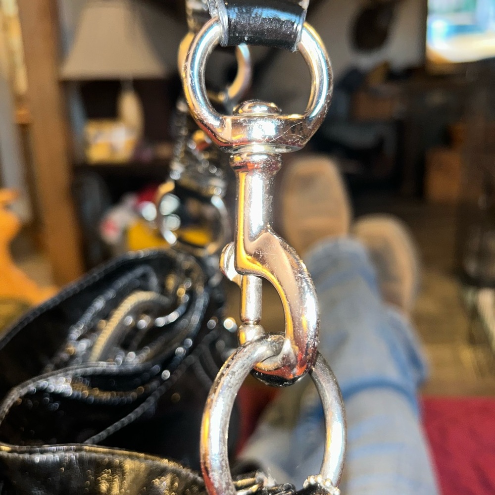 Coach Zoe patent leather hobo 
12 x 10 x 4. Couple marks on inside and out - Picture 8 of 8